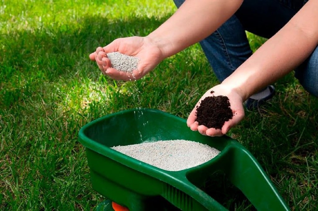 The Best Lawn Fertilizers A Buyers Guide [2023] Earth Development